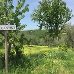 Casa Ana 아파트 그레베 인 키안티