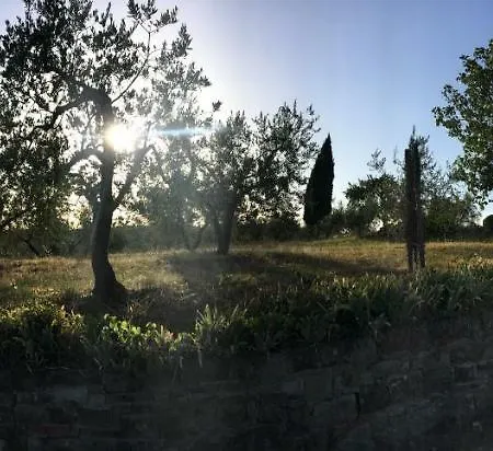 Casa Ana