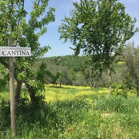 Casa Ana Appartement Greve in Chianti